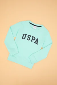US Polo Assn. Boys' Green Basic Crew Neck Sweatshirt - Image 3