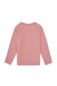 US Polo Assn. Boys' Orchid Basic Crew Neck Sweatshirt - Image 4