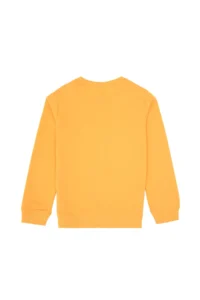 US Polo Assn. Boys' Mango Crew Neck Sweatshirt - Image 4