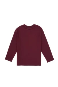 US Polo Assn. Boys' Burgundy Crew Neck single jersey Sweatshirt - Image 4