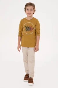 US Polo Assn. Boys' Mustard Crew Neck single jersey Sweatshirt