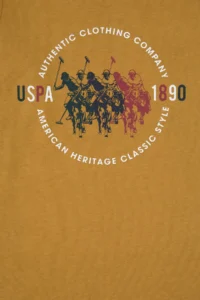 US Polo Assn. Boys' Mustard Crew Neck single jersey Sweatshirt - Image 5