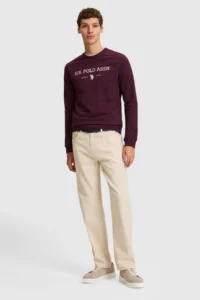 US Polo Assn. Men Burgundy Crew Neck Regular Fit  Basic Sweatshirt - Image 4