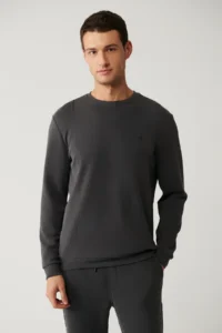 Avva Men's Anthracite Crew Neck Printed Soft Touch Regular Fit Sweatshirt