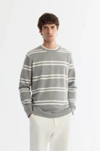 Avva Men's Gray Crew Neck Striped Elastane Regular Fit Sweatshirt