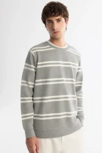 Avva Men's Gray Crew Neck Striped Elastane Regular Fit Sweatshirt - Image 2