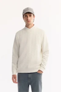 Avva Men's Ecru Crew Neck Textured Elastane Regular Fit Sweatshirt