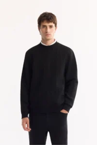 Avva Men's Black Crew Neck Striped Elastane Regular Fit Sweatshirt