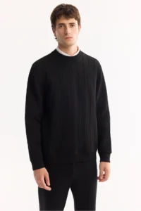Avva Men's Black Crew Neck Striped Elastane Regular Fit Sweatshirt - Image 2