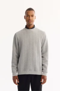 Avva Men's Gray Crew Neck Striped Elastane Regular Fit Sweatshirt
