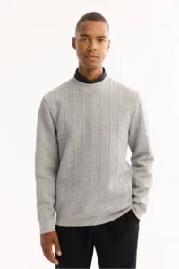 Avva Men's Gray Crew Neck Striped Elastane Regular Fit Sweatshirt - Image 5