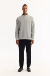 Avva Men's Gray Crew Neck Striped Elastane Regular Fit Sweatshirt - Image 7