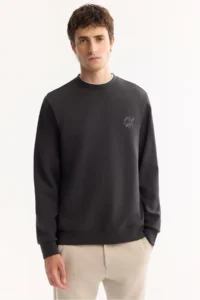Avva Men's Anthracite Crew Neck Cotton Bi-Stretch Basic Regular Fit Sweatshirt - Image 5