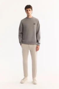 Avva Men's Gray Crew Neck Cotton Bi-Stretch Basic Regular Fit Sweatshirt - Image 5