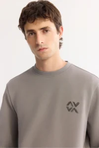 Avva Men's Gray Crew Neck Cotton Bi-Stretch Basic Regular Fit Sweatshirt - Image 6