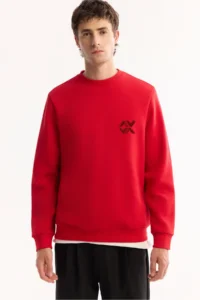 Avva Men's Red Crew Neck Cotton Bi-Stretch Basic Regular Fit Sweatshirt - Image 5