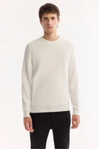 Avva Men's Ecru Crew Neck Rayon Anti-Pilling Textured Knitwear Regular Fit Sweater - Image 8