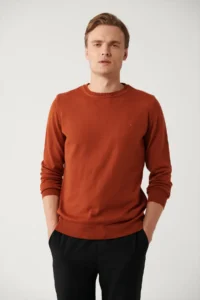Avva Men's Tile Crew Neck Wool Blend Knitwear Regular Fit Sweater