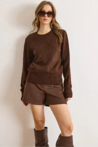 Olalook Women's Bitter Brown Crew Neck Soft Textured Basic Knitwear Sweater