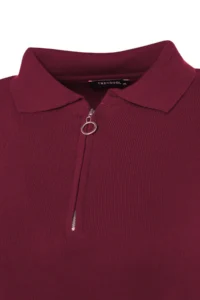 Trendyol Curve Cherry Rot Polo Shirt Collar Zipper Detailed Knitwear Sweater - Image 4