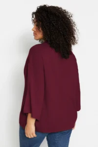 Trendyol Curve Cherry Rot Polo Shirt Collar Zipper Detailed Knitwear Sweater - Image 5
