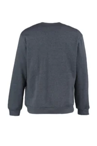 TRENDYOLMİLLA MEN Anthracite Regular/Normal Cut Inside Fleece/Warm Sweatshirt - Image 12