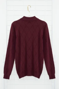 TRENDYOLMİLLA MEN Burgundy Regular Fit Cotton Half Fisherman Zippered Collar smart Knitwear Sweater - Image 8