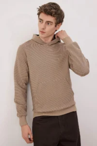 TRENDYOLMİLLA MEN Stone Regular/Normal Cut Hooded textured Sweatshirt - Image 2
