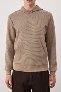 TRENDYOLMİLLA MEN Stone Regular/Normal Cut Hooded textured Sweatshirt - Image 3